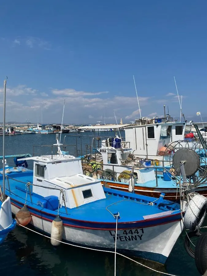 Alex Beach Apartment 203 拉纳卡 0*,  塞浦路斯